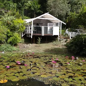 https://eumundi-yacht-club-bb.queenslandhotels.net